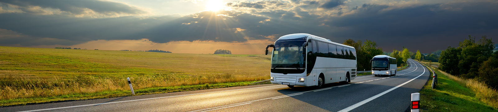 omnibus